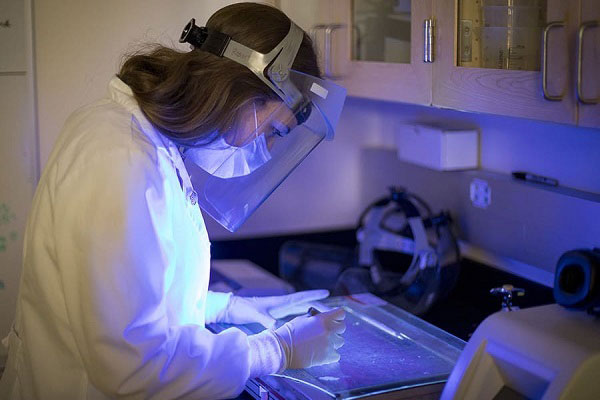 کاربرد نور فرابنفش