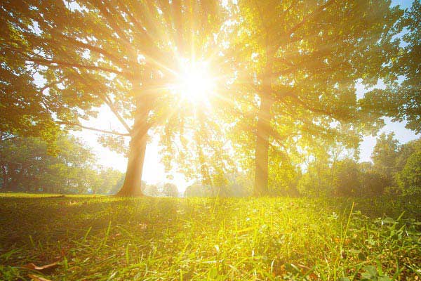 چشمه نور طبیعی