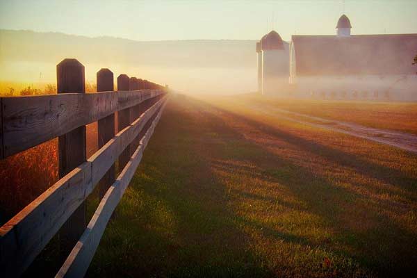 کیفیت منبع نور