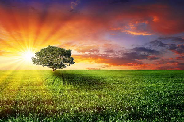 نور خورشید چه رنگی است؟